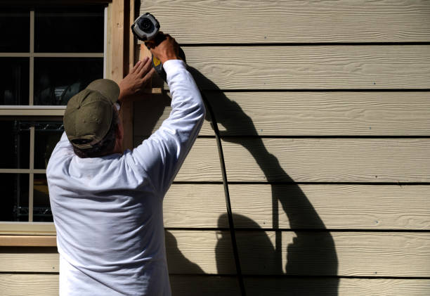 Affordable Siding Repair and Maintenance Services in Middletown, VA